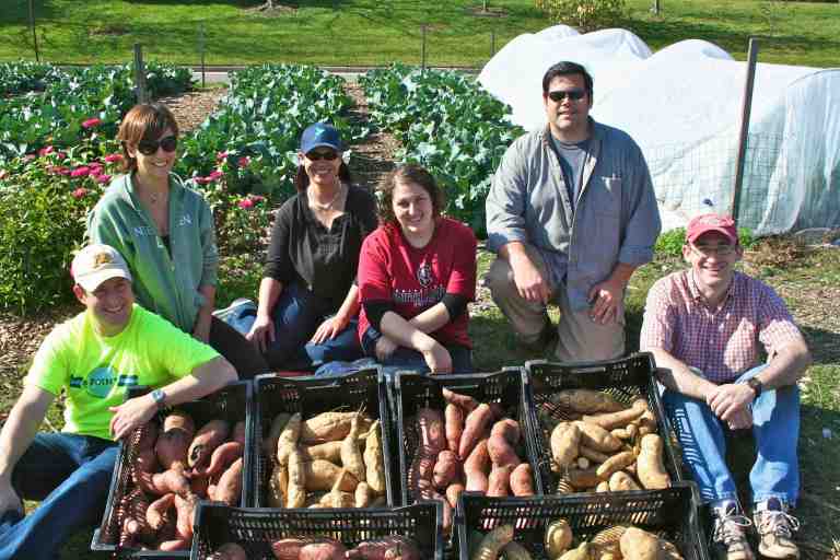 Batata Boom Gang 102012