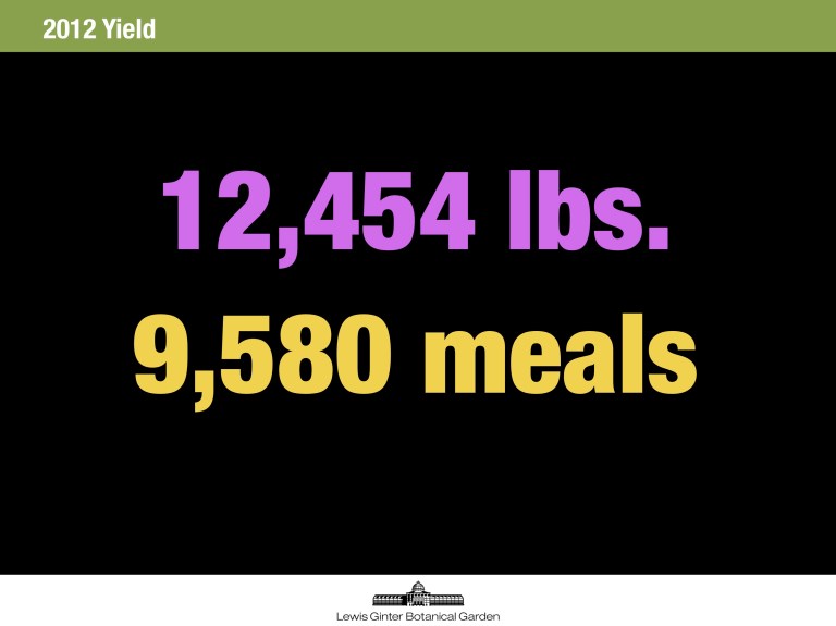 12,454 pounds of high quality, mostly organic fresh vegetables. The number of meals is based on a USDA factor (1.3 lbs. of vegetables constitutes a meal equivalent).