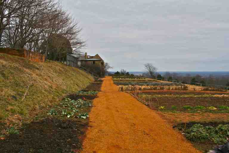 Surely this is a scene from the countryside of France or Italy.