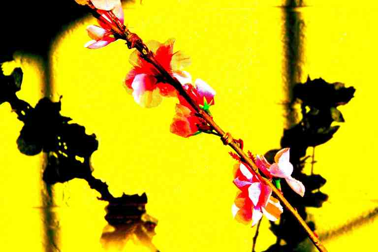 The light and corresponding shadows actually do move quickly.