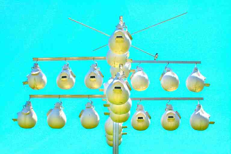 A luxury condominium for Purple Martins... and no, those aren't gourds.