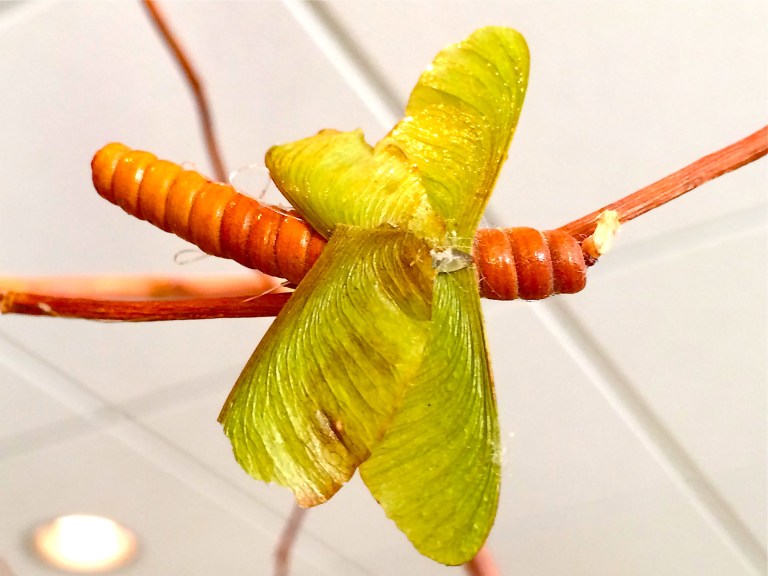 A dragonfly with maple seed pod wings. Design & construction by Lesley Madigan.