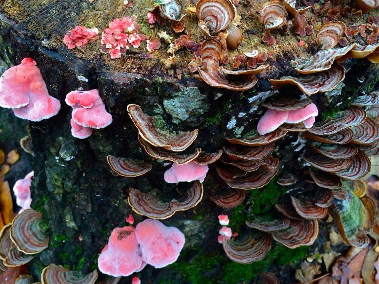 Seasonal Patterns 2015 A