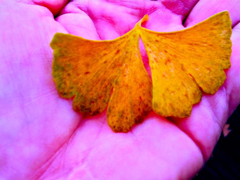 Seasonal Patterns 2015 C