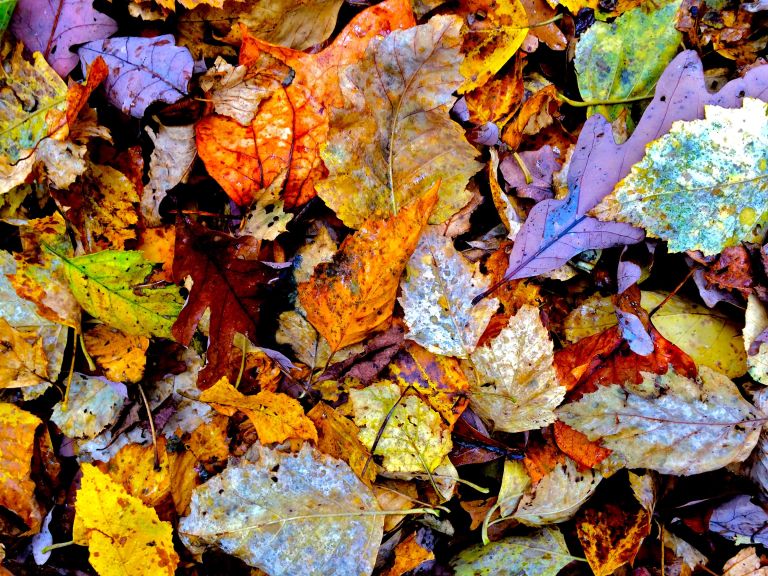 Seasonal Patterns 2015 D