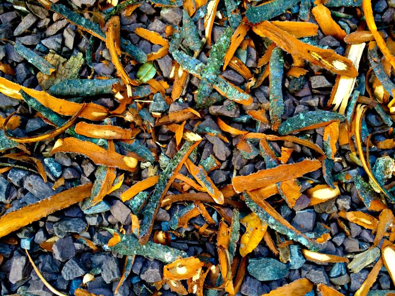 Seasonal Patterns 2015 E