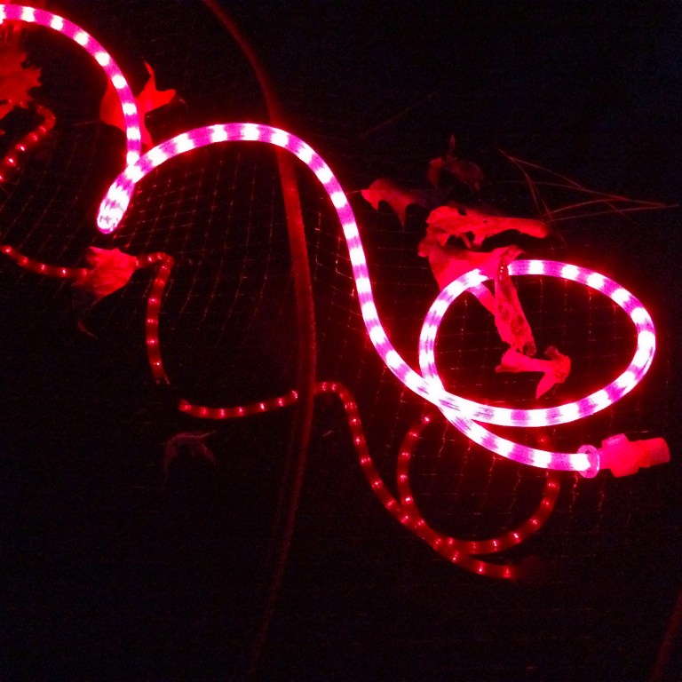 Red Rope